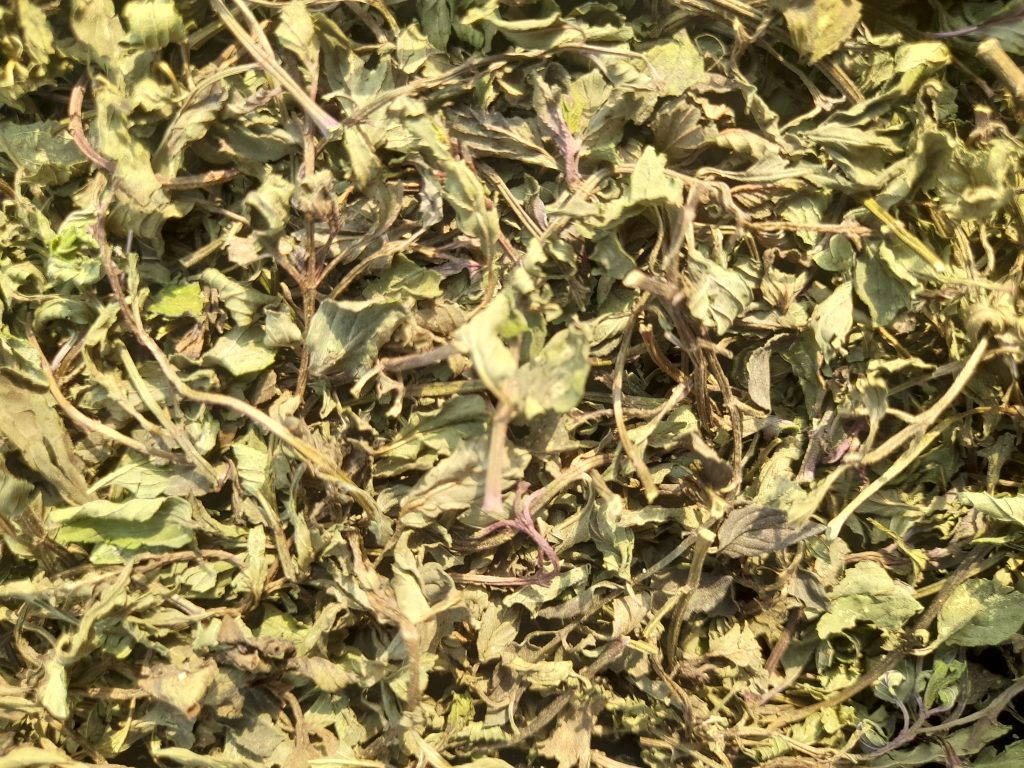 Creative Ways to Use Dried Peppermint in Event Decoration 20250117 1556001 1024x768