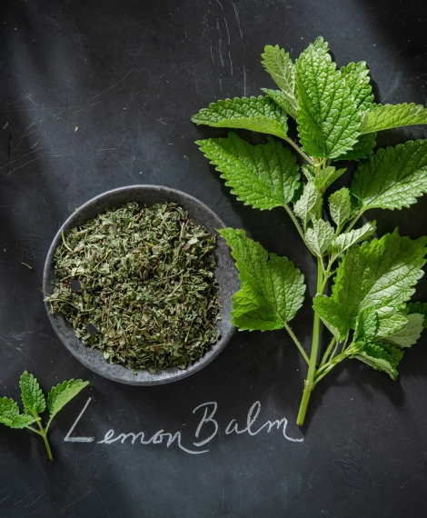 dried lemon balm