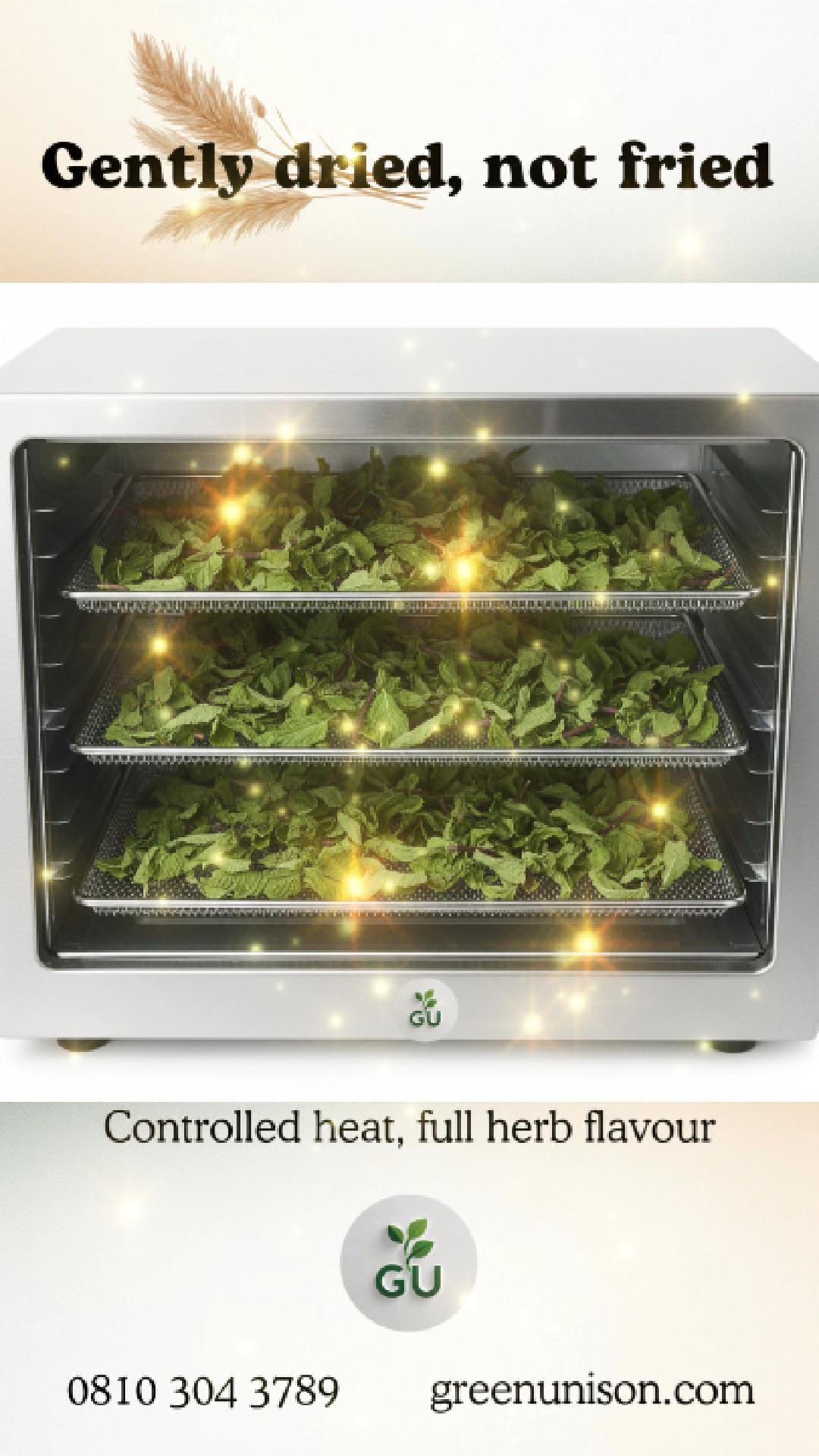 Carefully arranged herbs getting dried in a dehydrator