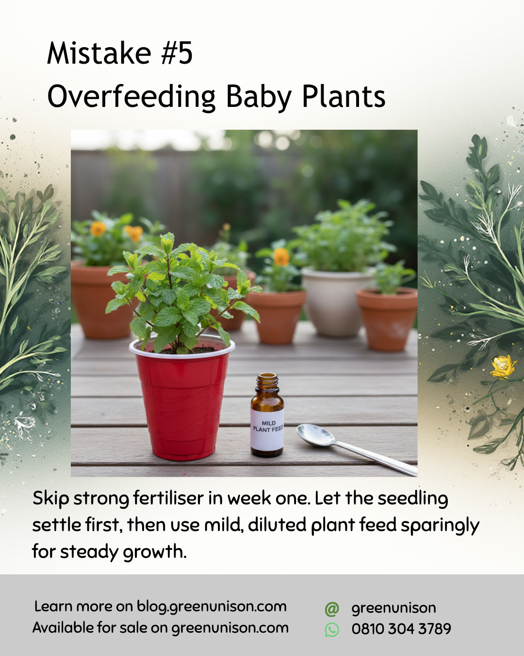 GU Seedling Care Avoid Overfeeding Baby Plants